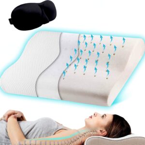 Aelegant-Memory-Foam-Pillow-1